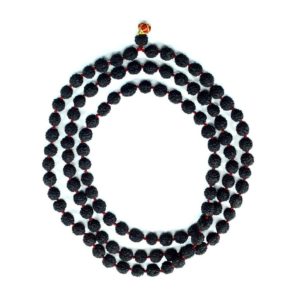 ASTRODIDI Black 5 Mukhi Rudraksha Mala Original Panch Mukha Mala 108+1 Beads for Men and Women-0
