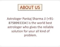 Indian Astrology Seva