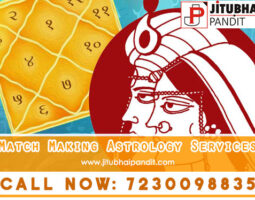 Jitubhai Pandit Astrologer