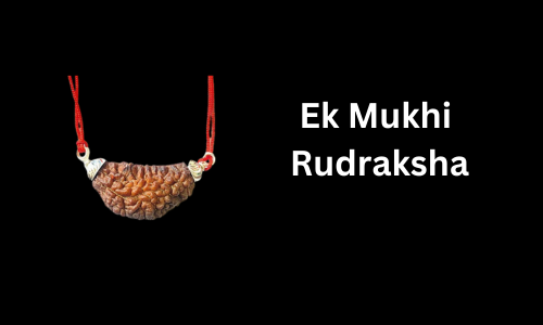 Ek Mukhi Rudraksha: The Sacred Seed of Oneness